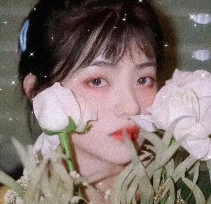纯情罗曼史第三季